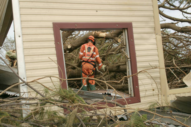 Best Root Management and Removal  in Fort Stockton, TX