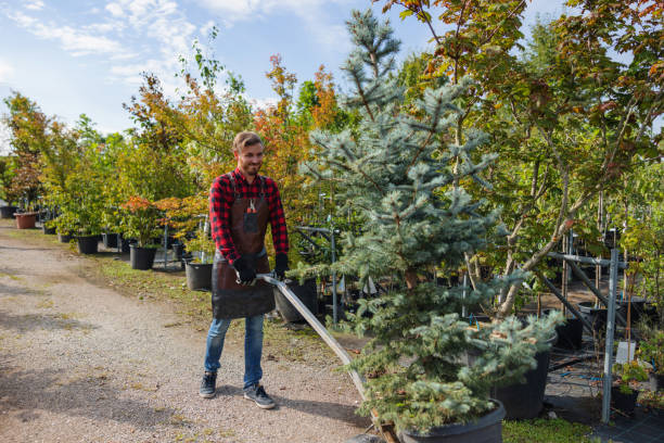 Best Commercial Tree Services  in Fort Stockton, TX